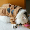 Woolen Jacket Trench Coat Winter Pet Clothes